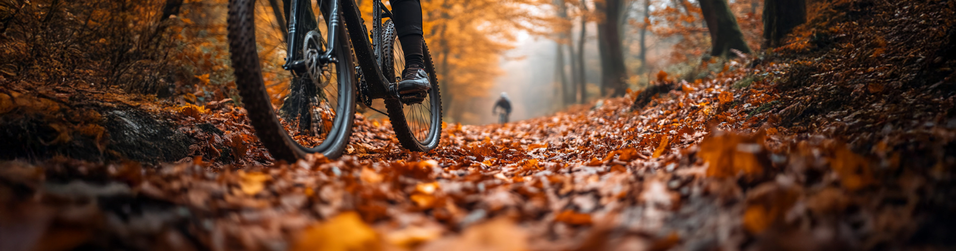 Fietsencatalogus