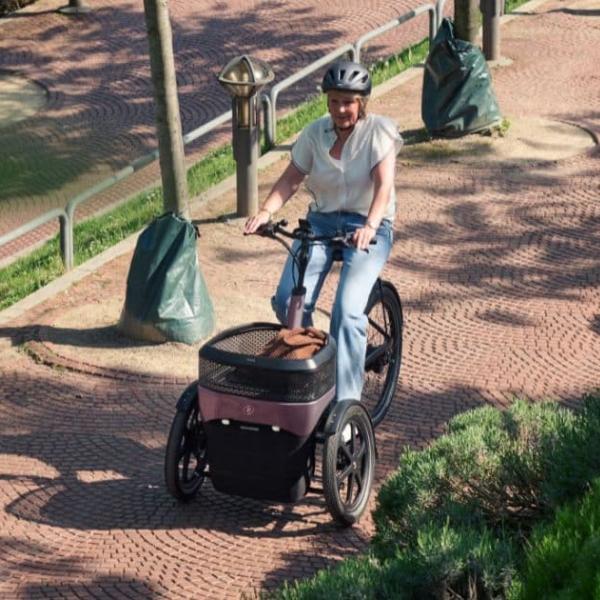 Thuja e-bike van vanRaam getest door E-Bike Magazine