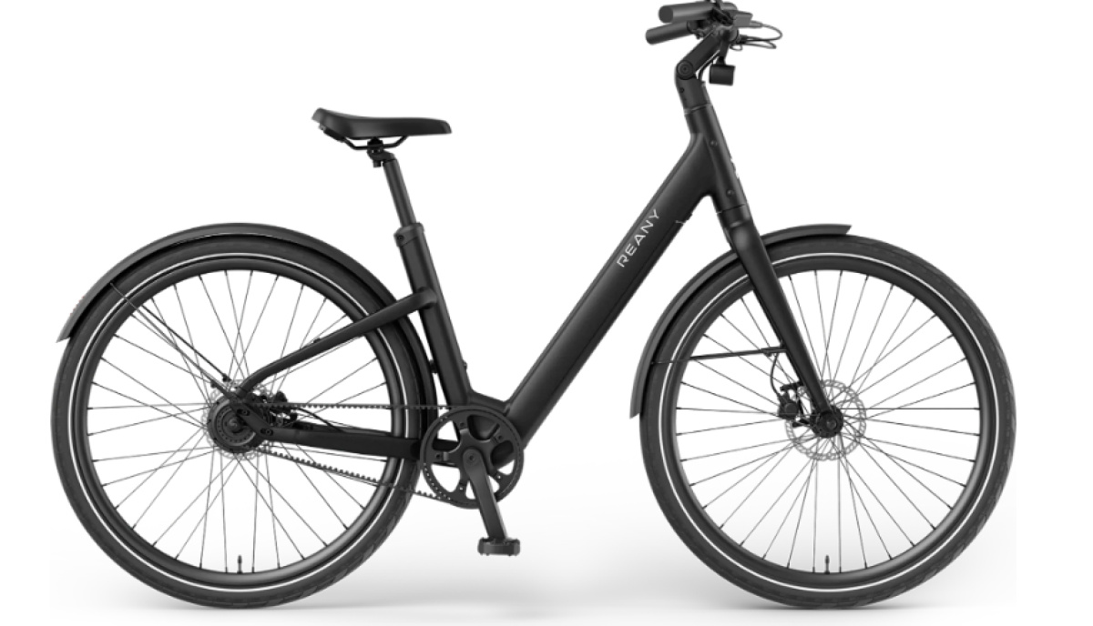 V1 Vivo