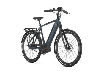 ULTIMATE C8+ HMB BELT H65