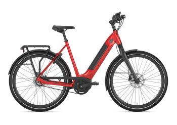 ULTIMATE C8+ HMB BELT L53 CHAMPION RED S8