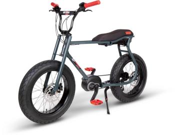 Ruff Cycles Lil Buddy