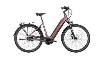 TRESALO 13 Nexus 5-speed