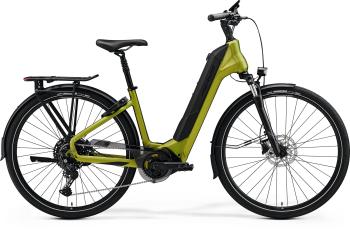 e-SPRESSO CITY 500 MATT FALL GREEN/BLACK M