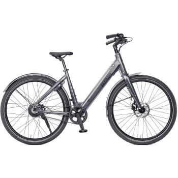 Centro Gates Fixed Gear D49