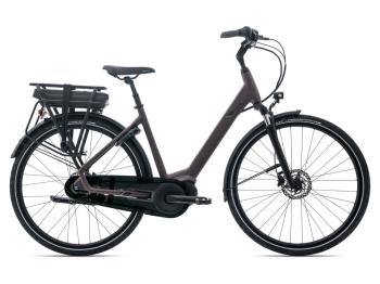 Entour E+ 0 LDS-WOB 25km/h L Charcoal Plum