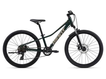 TALON 24 DISC ONE SIZE TREKKING GREEN