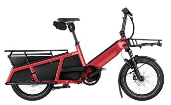 R&M MULTITINKER2 VARIO UNI KIO300 625WH LAVA/BLACK