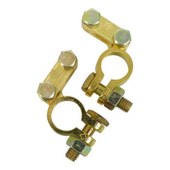 Carpoint Accuklemmen