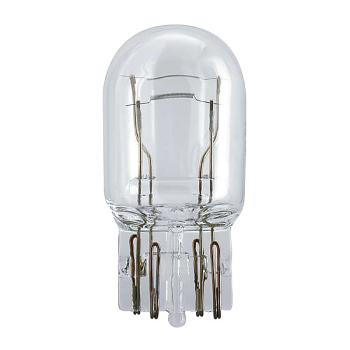 Philips 12066B2 12V W21/5W