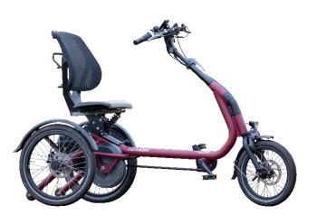 Van Raam Easy Rider Compact 8V duimgas