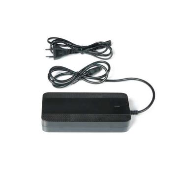 Lader 2A Sport Drive 36V