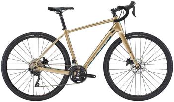 gravelbike